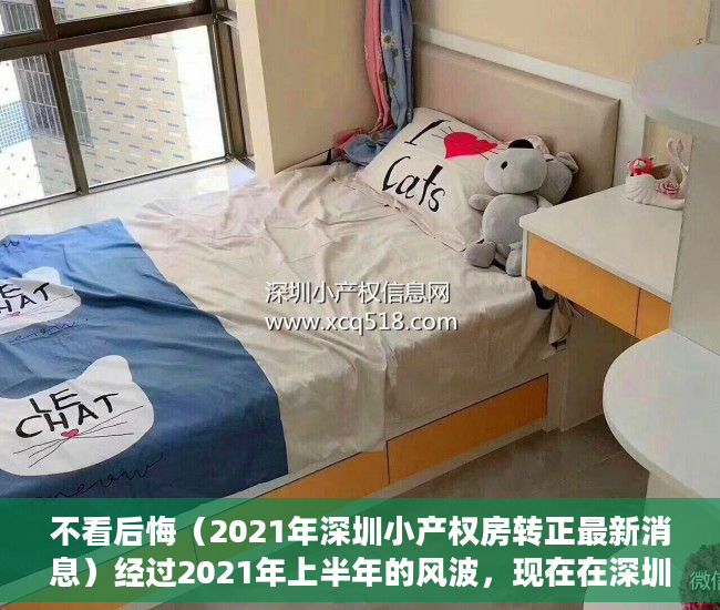 不看后悔（2021年深圳小产权房转正最新消息）经过2021年上半年的风波，现在在深圳入手小产权房怎么样？，2021年深圳小产权房转正最新消息查询，