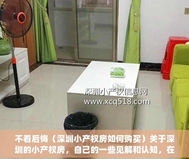 不看后悔（深圳小产权房如何购买）关于深圳的小产权房，自己的一些见解和认知，在深圳买小产权房怎么样，