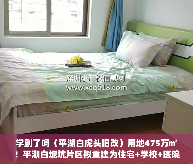 学到了吗（平湖白虎头旧改）用地475万㎡！平湖白坭坑片区拟重建为住宅+学校+医院｜深圳楼市早7条，平湖大街旧改，