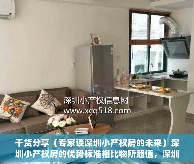 干货分享（专家谈深圳小产权房的未来）深圳小产权房的优势标准相比物所超值，深圳小产权房升值空间，