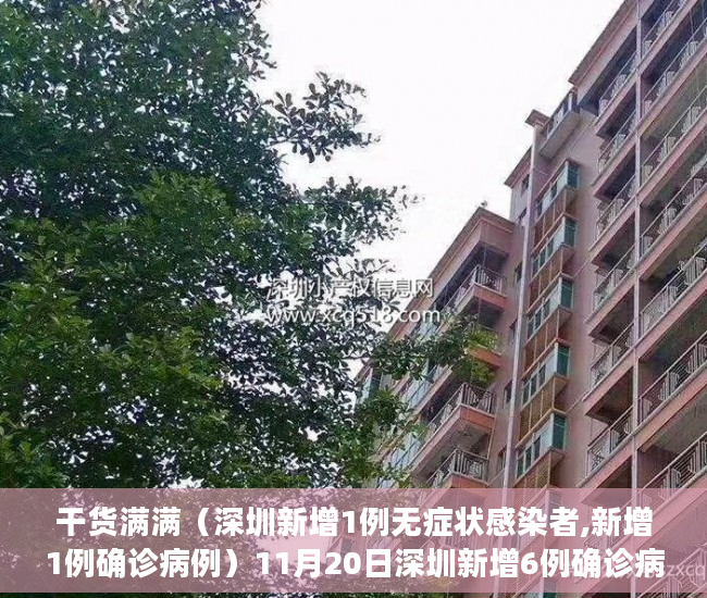 干货满满（深圳新增1例无症状感染者,新增1例确诊病例）11月20日深圳新增6例确诊病例和14例无症状感染者，深圳新增1例无症状感染者,新增1例确诊者，