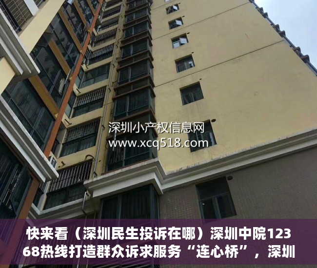 快来看（深圳民生投诉在哪）深圳中院12368热线打造群众诉求服务“连心桥”，深圳民生投诉频道，