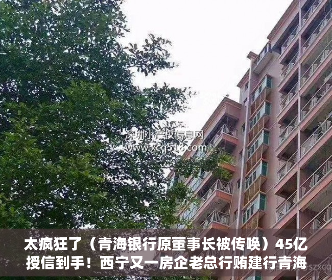 太疯狂了（青海银行原董事长被传唤）45亿授信到手！西宁又一房企老总行贿建行青海分行原行长，送房、送卡、送美国矿产公司34%股权……，青海省建行行长，