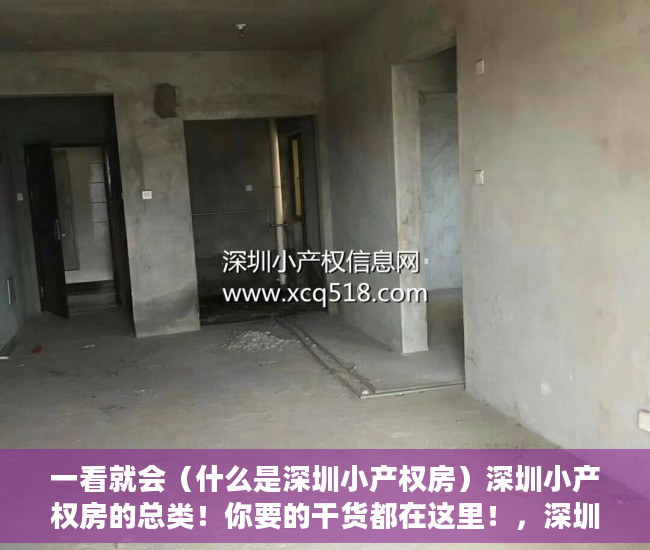 一看就会（什么是深圳小产权房）深圳小产权房的总类！你要的干货都在这里！，深圳这么多小产权房何去何从，