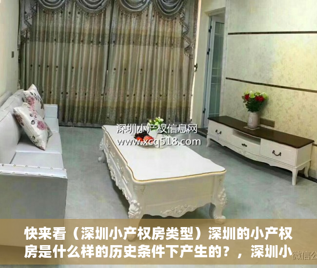 快来看（深圳小产权房类型）深圳的小产权房是什么样的历史条件下产生的？，深圳小产权房问题，