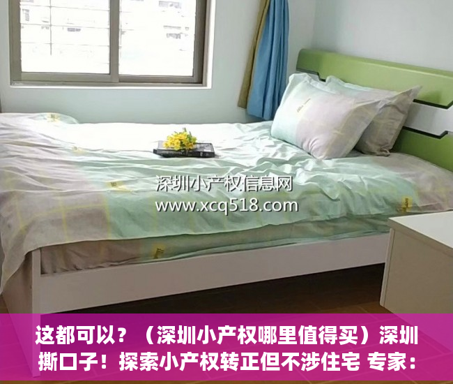 这都可以？（深圳小产权哪里值得买）深圳撕口子！探索小产权转正但不涉住宅 专家：都是人为设限，在深圳买了小产权房东后悔的，