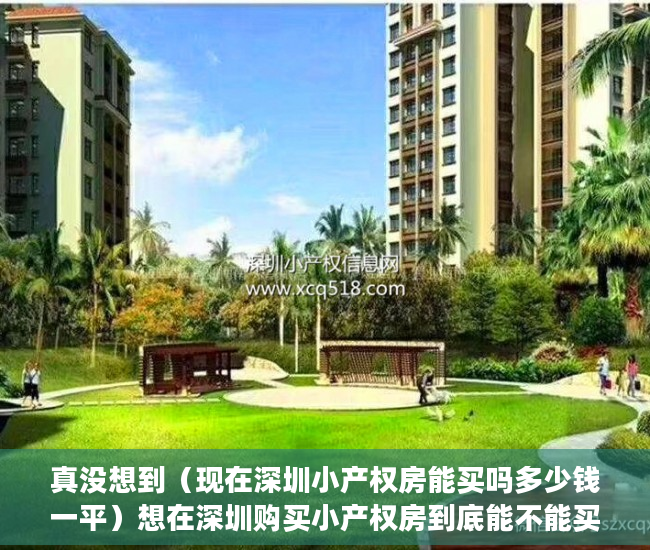 真没想到（现在深圳小产权房能买吗多少钱一平）想在深圳购买小产权房到底能不能买？，现在深圳小产权房能买吗多少钱一平方，