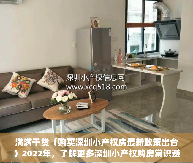 满满干货（购买深圳小产权房最新政策出台）2022年，了解更多深圳小产权购房常识避免踩坑！，购买深圳小产权房最新政策解读，