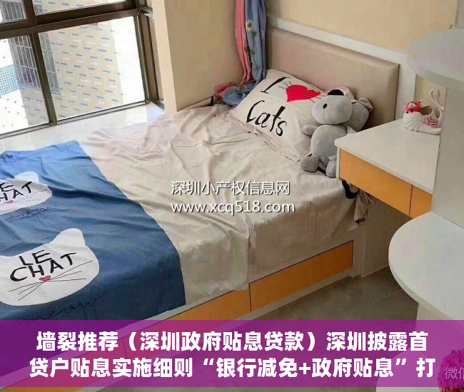 墙裂推荐（深圳政府贴息贷款）深圳披露首贷户贴息实施细则“银行减免+政府贴息”打破“首贷”难，深圳贷款贴息政府补助，