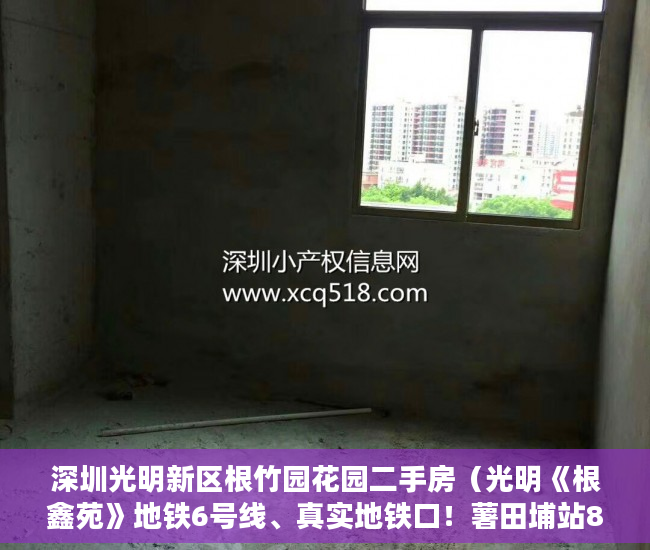 深圳光明新区根竹园花园二手房（光明《根鑫苑》地铁6号线、真实地铁口！薯田埔站800米 ）小产权房拆除后多久可以拆除，