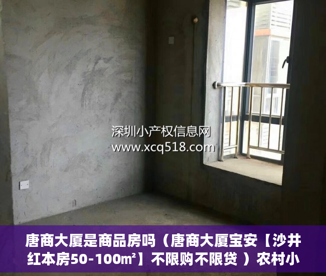 唐商大厦是商品房吗（唐商大厦宝安【沙井红本房50-100㎡】不限购不限贷 ）农村小产权房怎么解决，