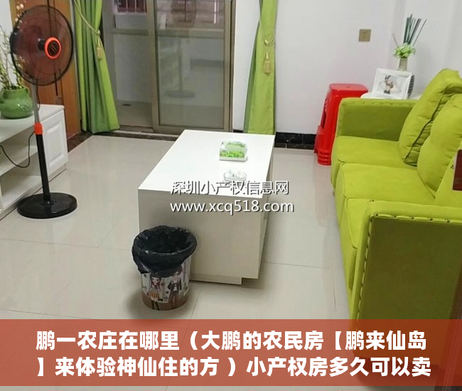 鹏一农庄在哪里（大鹏的农民房【鹏来仙岛】来体验神仙住的方 ）小产权房多久可以卖掉，