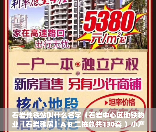石岩地铁站叫什么名字（石岩中心区地铁物业【石岩雅居】A B 二栋总共130套 ）小产权房子能分期多久，
