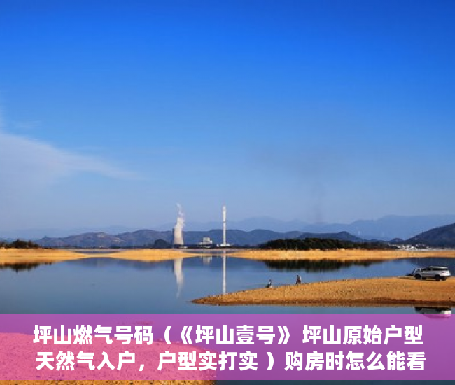 坪山燃气号码（《坪山壹号》 坪山原始户型 天然气入户，户型实打实 ）购房时怎么能看出是大小产权，
