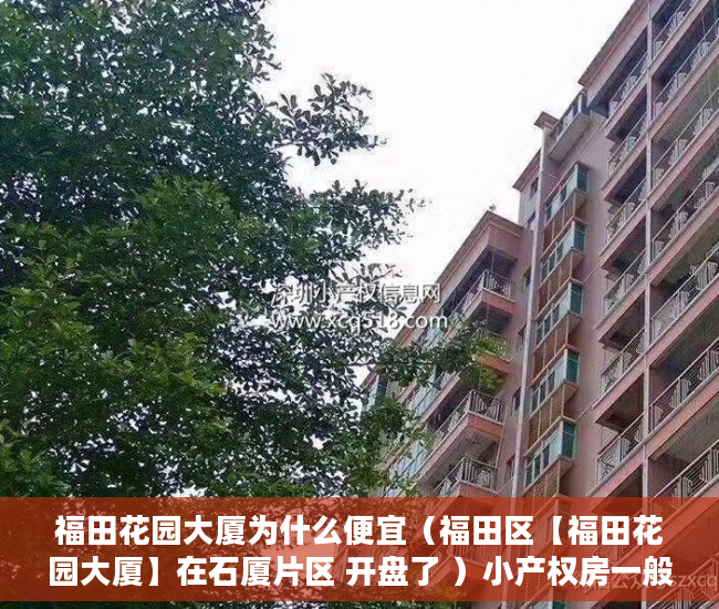 福田花园大厦为什么便宜（福田区【福田花园大厦】在石厦片区 开盘了 ）小产权房一般多久可以更名，