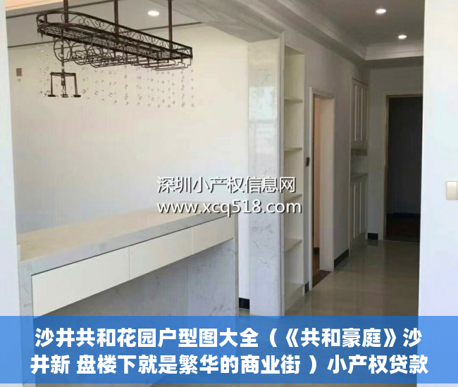 沙井共和花园户型图大全（《共和豪庭》沙井新 盘楼下就是繁华的商业街 ）小产权贷款需要多久，