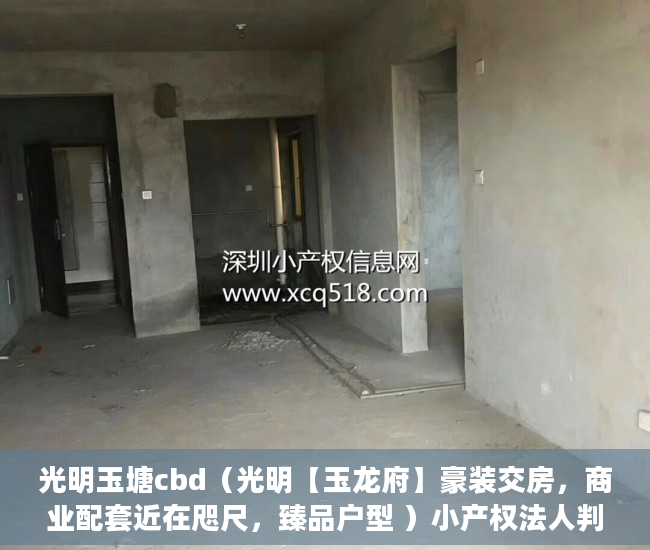 光明玉塘cbd（光明【玉龙府】豪装交房，商业配套近在咫尺，臻品户型 ）小产权法人判多久，