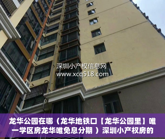 龙华公园在哪（龙华地铁口【龙华公园里】唯一学区房龙华唯免息分期 ）深圳小产权房的产权多久，