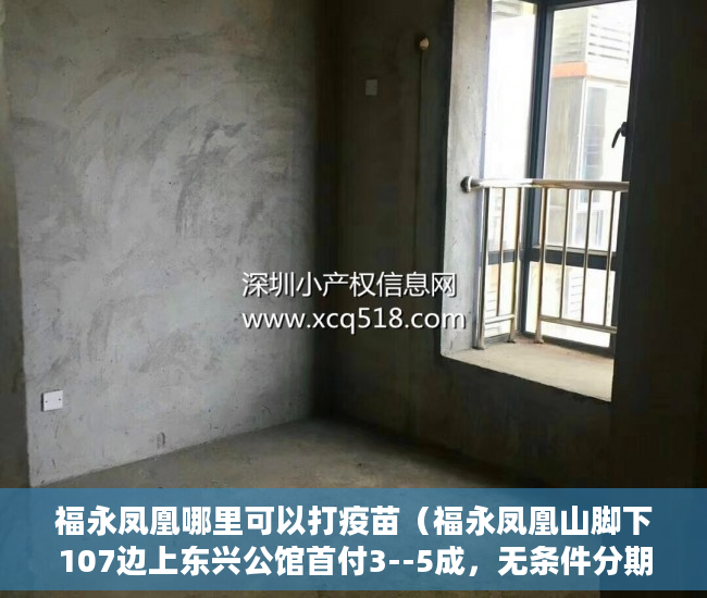 福永凤凰哪里可以打疫苗（福永凤凰山脚下107边上东兴公馆首付3--5成，无条件分期5 ）未来小产权房怎么卖，