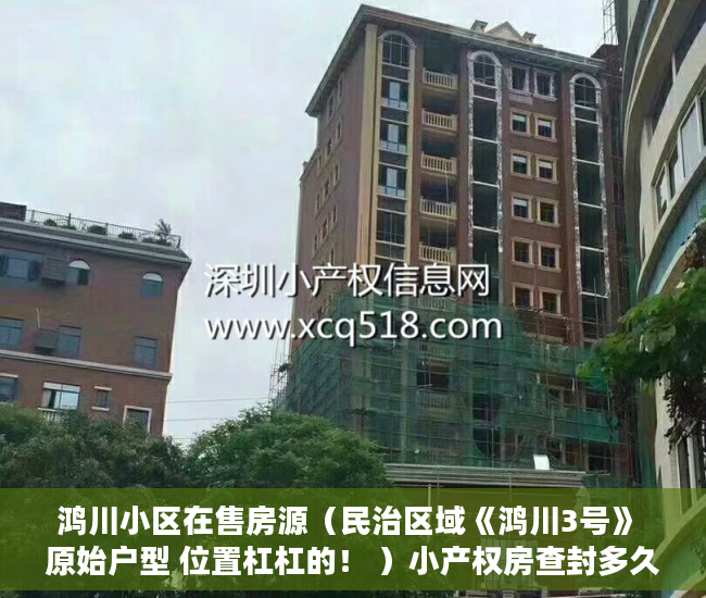 鸿川小区在售房源（民治区域《鸿川3号》 原始户型 位置杠杠的！ ）小产权房查封多久可以拍卖，