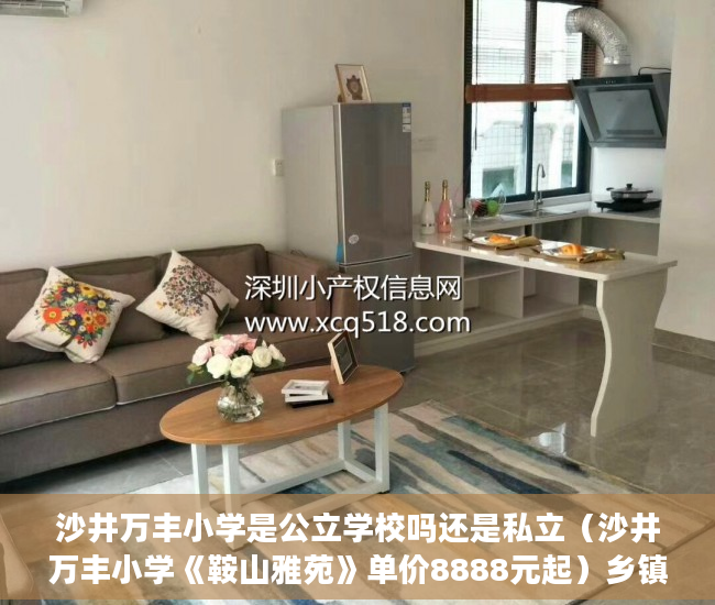 沙井万丰小学是公立学校吗还是私立（沙井万丰小学《鞍山雅苑》单价8888元起）乡镇上有小产权房怎么办，