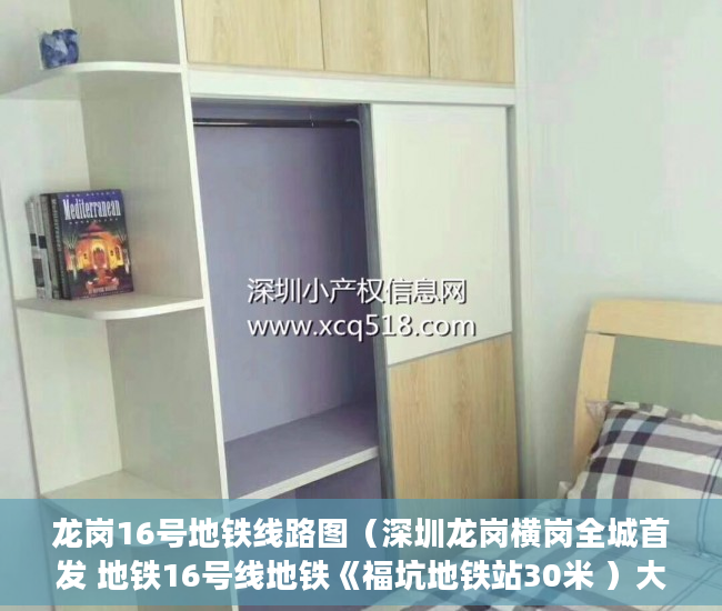 龙岗16号地铁线路图（深圳龙岗横岗全城首发 地铁16号线地铁《福坑地铁站30米 ）大产权办好多久可以办小产权，