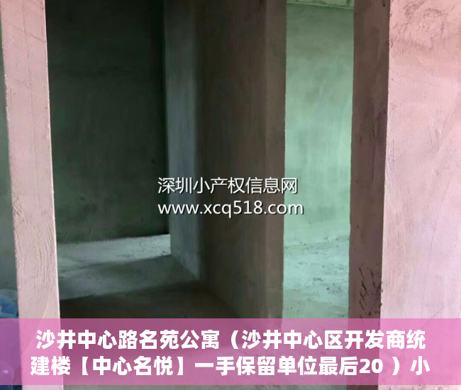 沙井中心路名苑公寓（沙井中心区开发商统建楼【中心名悦】一手保留单位最后20 ）小产权loft贷款多久还清，