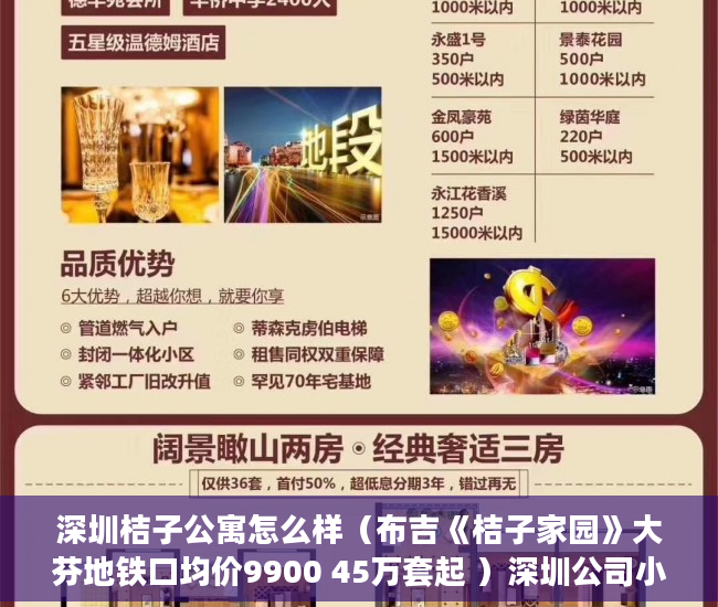 深圳桔子公寓怎么样（布吉《桔子家园》大芬地铁口均价9900 45万套起 ）深圳公司小产权房多久可以卖，