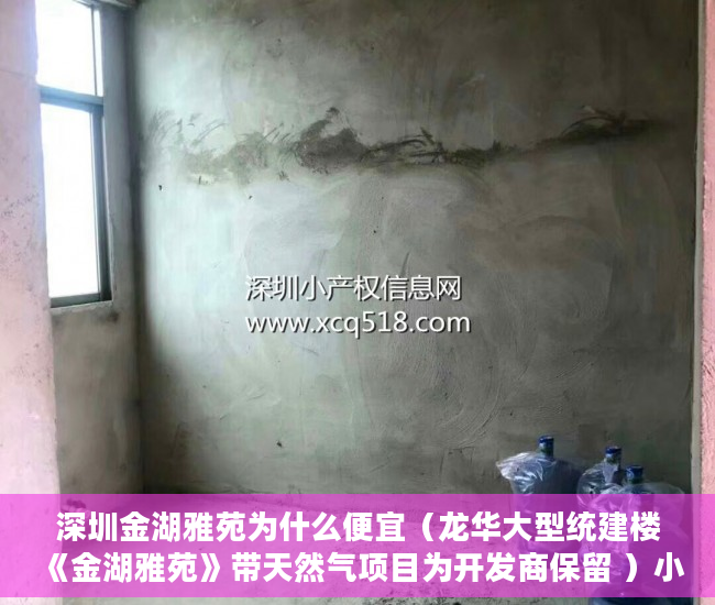 深圳金湖雅苑为什么便宜（龙华大型统建楼《金湖雅苑》带天然气项目为开发商保留 ）小产权打官司需要多久，