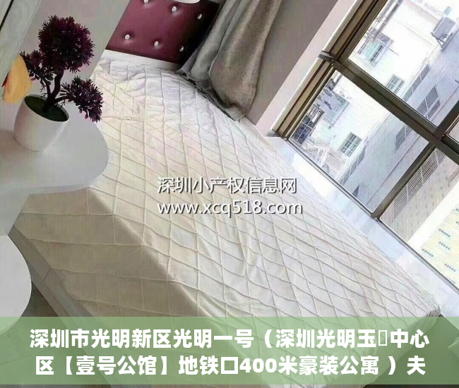 深圳市光明新区光明一号（深圳光明玉侓中心区【壹号公馆】地铁口400米豪装公寓 ）夫妻两人都是小产权房怎么办，