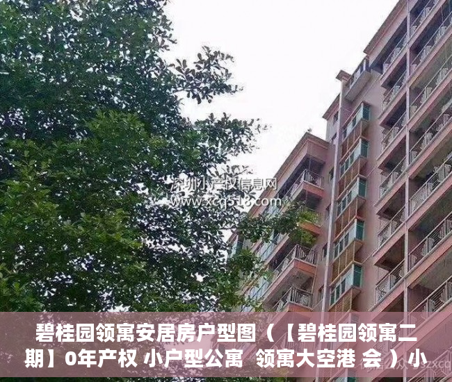 碧桂园领寓安居房户型图（【碧桂园领寓二期】0年产权 小户型公寓  领寓大空港 会 ）小产权多久1463796Z空间，