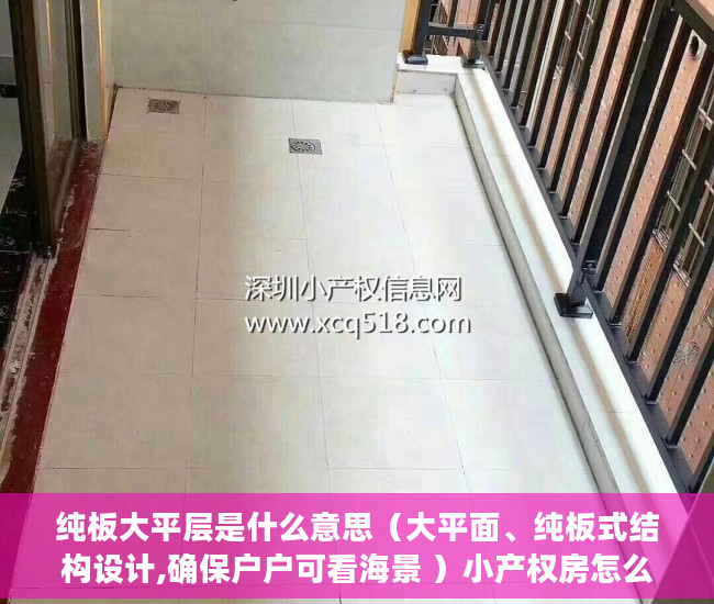 纯板大平层是什么意思（大平面、纯板式结构设计,确保户户可看海景 ）小产权房怎么建设，