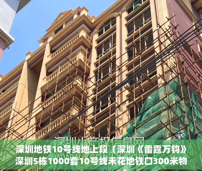 深圳地铁10号线地上段（深圳《雷霆万钧》深圳5栋1000套10号线禾花地铁口300米物 ）小产权房无能力偿还债务怎么办，