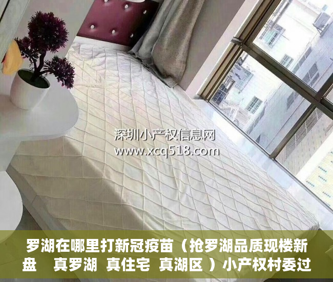 罗湖在哪里打新冠疫苗（抢罗湖品质现楼新盘    真罗湖  真住宅  真湖区 ）小产权村委过户需要多久，
