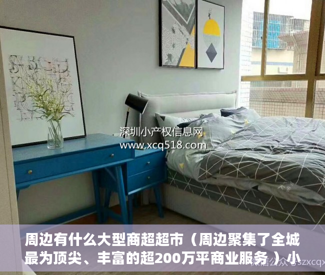 周边有什么大型商超超市（周边聚集了全城最为顶尖、丰富的超200万平商业服务 ）小产权纠纷打官司要多久，