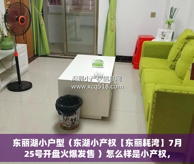 东丽湖小户型（东湖小产权【东丽耗湾】7月25号开盘火爆发售 ）怎么样是小产权，