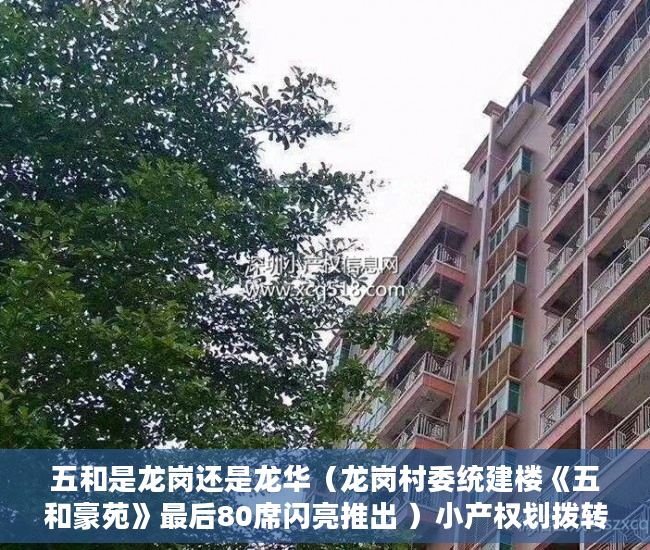 五和是龙岗还是龙华（龙岗村委统建楼《五和豪苑》最后80席闪亮推出 ）小产权划拨转出让需要多久，
