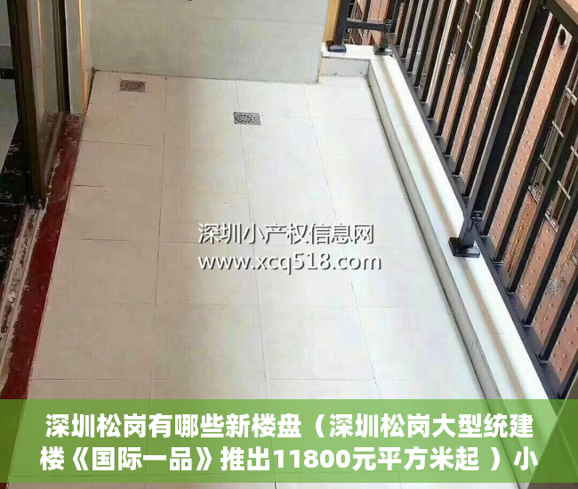 深圳松岗有哪些新楼盘（深圳松岗大型统建楼《国际一品》推出11800元平方米起 ）小产权房拆除怎么补偿，