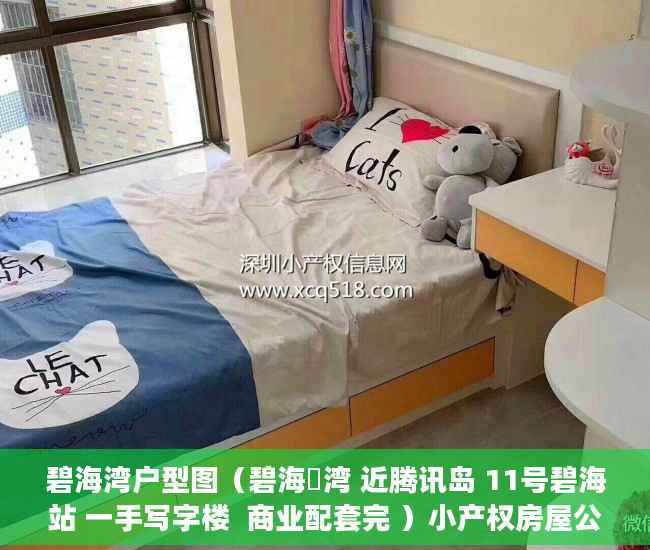 碧海湾户型图（碧海珺湾 近腾讯岛 11号碧海站 一手写字楼  商业配套完 ）小产权房屋公证后管多久，