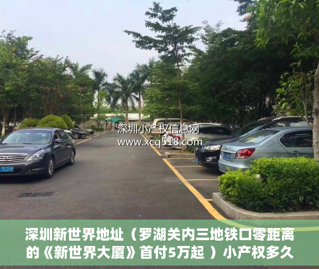 深圳新世界地址（罗湖关内三地铁口零距离的《新世界大厦》首付5万起 ）小产权多久不用缴税，