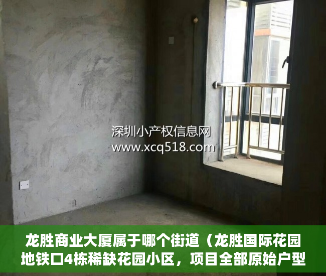 龙胜商业大厦属于哪个街道（龙胜国际花园地铁口4栋稀缺花园小区，项目全部原始户型 ）小产权房多久拆迁，