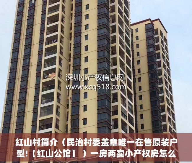 红山村简介（民治村委盖章唯一在售原装户型!【红山公馆】 ）一房两卖小产权房怎么办，