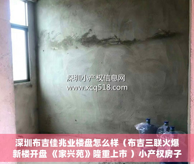 深圳布吉佳兆业楼盘怎么样（布吉三联火爆新楼开盘 《家兴苑》隆重上市 ）小产权房子装修多久，