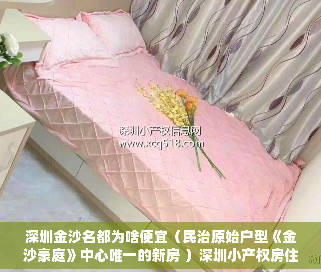 深圳金沙名都为啥便宜（民治原始户型《金沙豪庭》中心唯一的新房 ）深圳小产权房住多久，