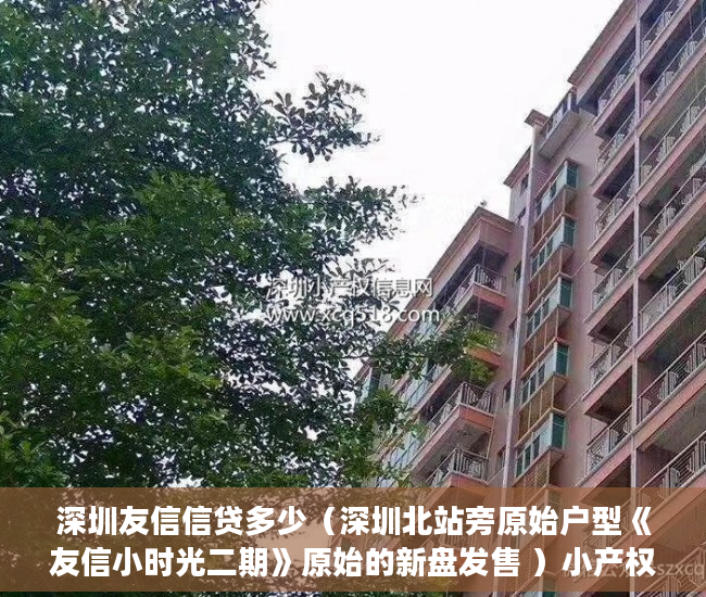 深圳友信信贷多少（深圳北站旁原始户型《友信小时光二期》原始的新盘发售 ）小产权怎么买卖，