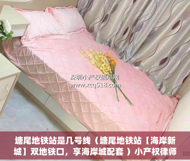 塘尾地铁站是几号线（塘尾地铁站【海岸新城】双地铁口，享海岸城配套 ）小产权律师公证要多久，