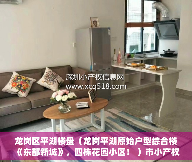 龙岗区平湖楼盘（龙岗平湖原始户型综合楼 《东部新城》，四栋花园小区！ ）市小产权房怎么样，