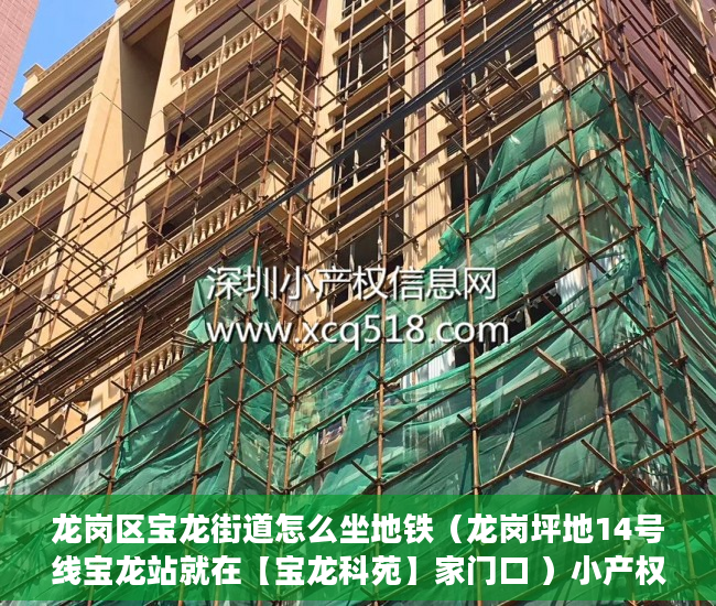 龙岗区宝龙街道怎么坐地铁（龙岗坪地14号线宝龙站就在【宝龙科苑】家门口 ）小产权办理大产权需要多久，