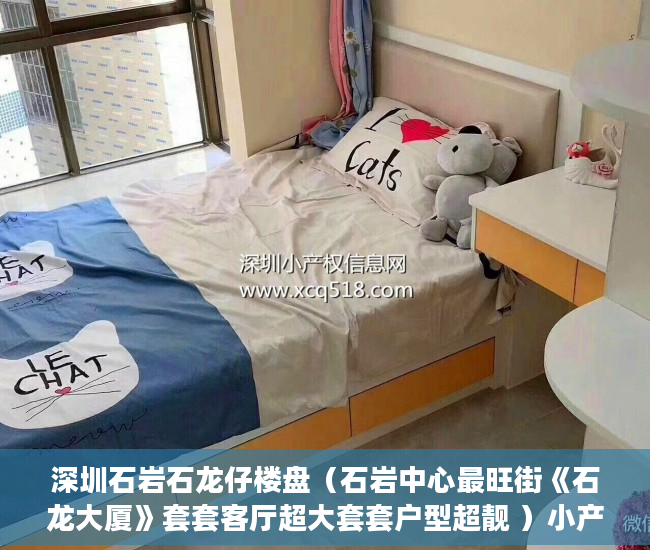 深圳石岩石龙仔楼盘（石岩中心最旺街《石龙大厦》套套客厅超大套套户型超靓 ）小产权房顶渗水怎么退，