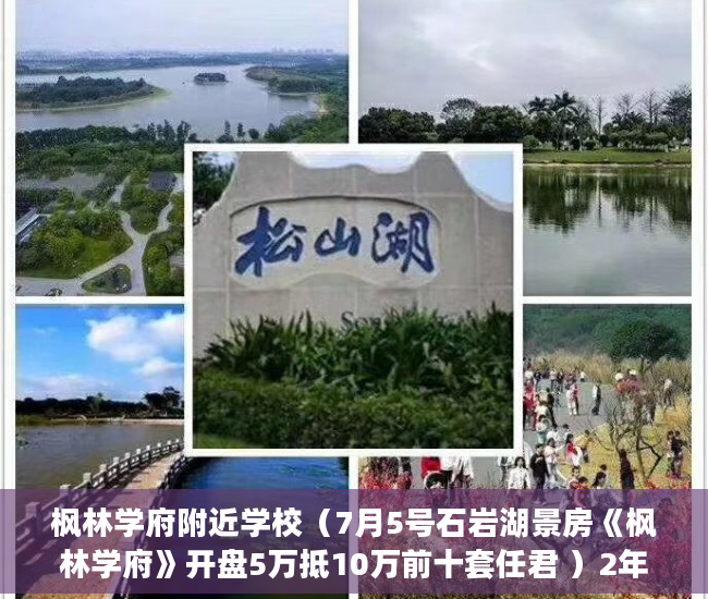 枫林学府附近学校（7月5号石岩湖景房《枫林学府》开盘5万抵10万前十套任君 ）2年前买的小产权房有纠纷怎么办，